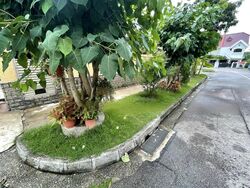Wilkinson Road (D15), Detached #458106671